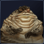 Maxitrac's Avatar