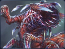 The k'lor'slug is one of the most fearsome beasts on Korriban.