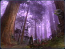 A Jedi makes his way through a variety of flora and fauna in the Tython forests.