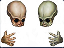 Image conceptuelle d'une tête et d'une main de Bith, une race douée d'intelligence dotée de capacités motrices inégalées.